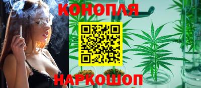 СК Краснознаменск