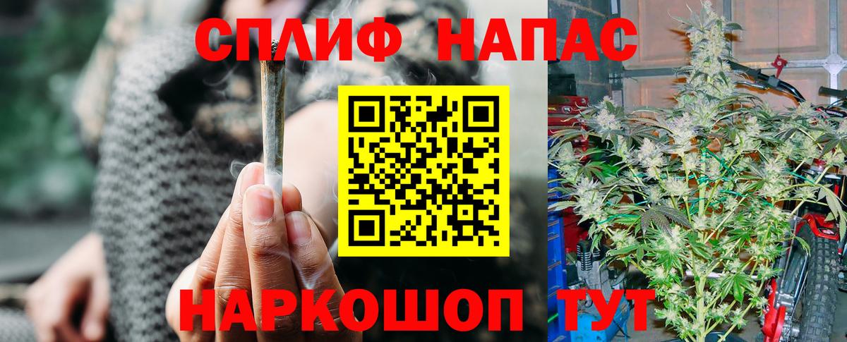 Бошки Шишки планчик Ханты-Мансийск